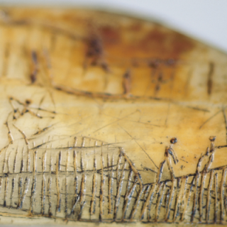 What happens to you during conflicts | Ancient Hunter